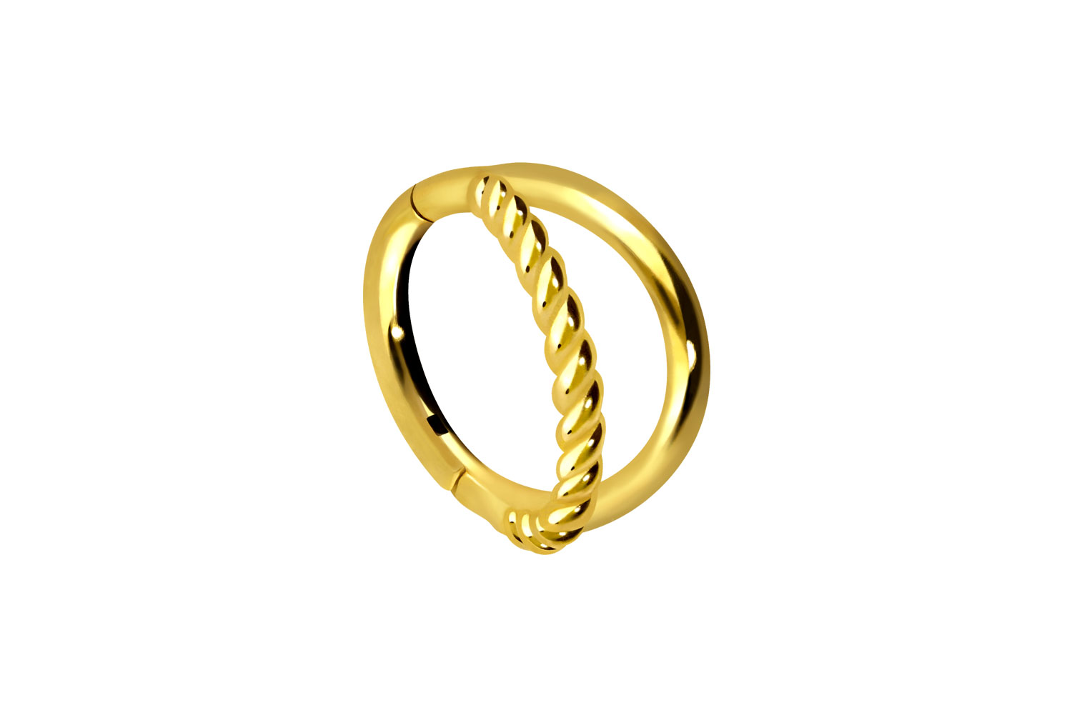 Chirurgenstahl Segmentring Clicker Piercing 2 RINGE + GEDREHT